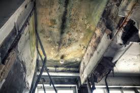 Mold Odor Removal Services in Atkinson, NE